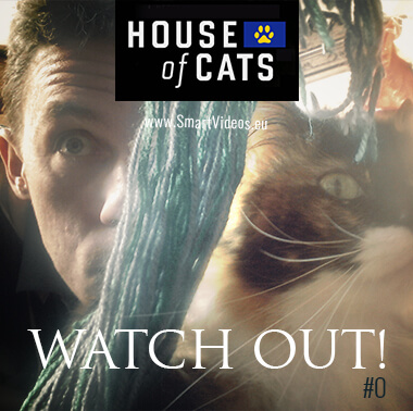 House of cats, poster of this original example of cross media marketing