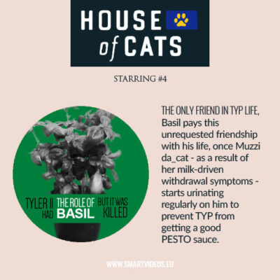house of cats - character