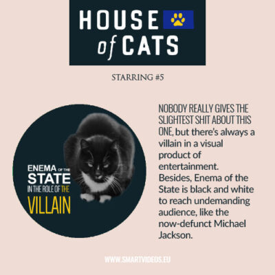 house of cats - character